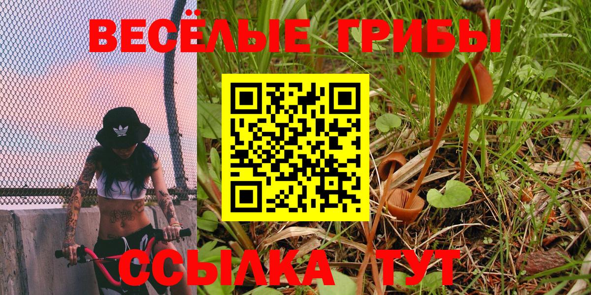 Галлюциногенные грибы прущие грибы Чебаркуль